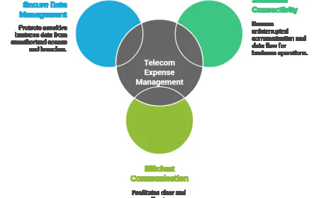 The Role of Telecom Expense Management in Business Optimization.