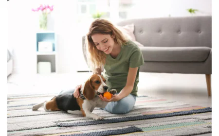 How In-Home Dog Training Supports Long-Term Behavior