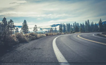 Signs You Should Definitely Rent A Car In Anchorage