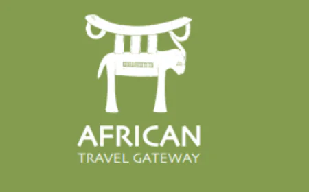 Discover the Magic of the Wild: Unforgettable Safari Adventures in Africa