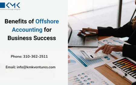 How to Build a Hybrid Offshore and Onshore Accounting Team for US Companies