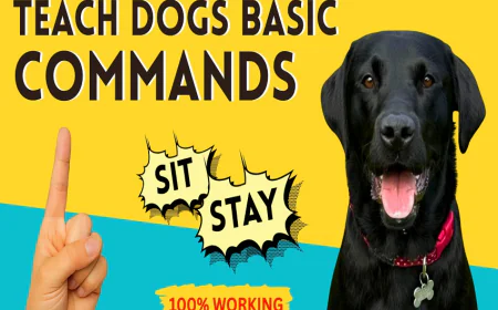 Training That Sticks: How We Turn Pups into Polite Companions
