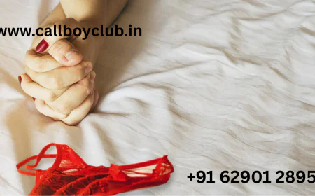 Playboy Job Phone Number - Verified Contact to Start Your High-Paying Career