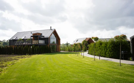 Creating Green Spaces That Last: Landscape Solutions in Auckland