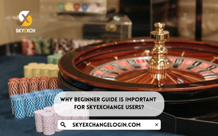 Why Beginner Guide Is Important For SkyExchange Users?