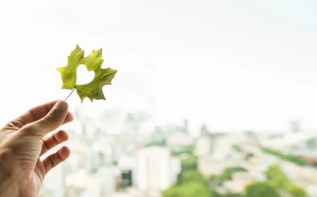 How LEED certification supports government green building regulations