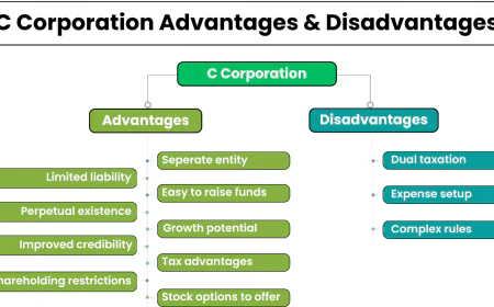 How Can C-Corporation Tax Preparation Help Businesses Stay Compliant?