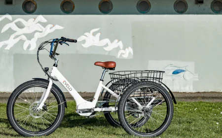 In-Depth Addmotor CityTri E-310 Review: The Ultimate Adult Trike?