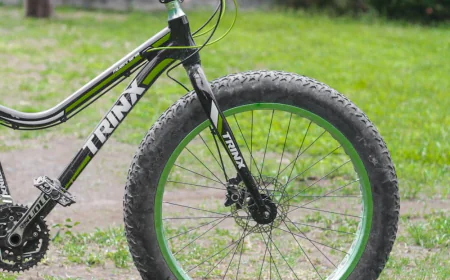 Trike or Fat Tire? Choosing the Perfect Addmotor E-Bike for Your Ride