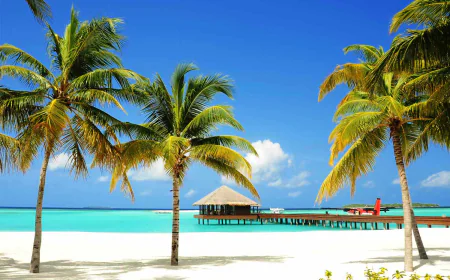 Reefs, Rides, and Thrills: An Adventurer's Maldives 2025 Getaway 