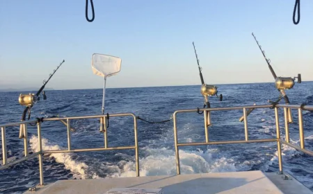 A Quick & Easy Guide To Fishing In Hawaii