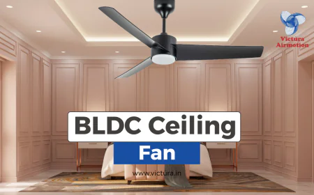 Why 1200 mm BLDC Ceiling Fans Are Becoming a Must-Have