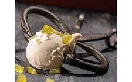 The Ultimate Guide to Gelato PDF: Learn, Create, and Master Authentic Gelato