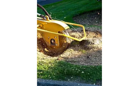 How Local Stump Grinding Creates a Safer and Cleaner Outdoor Space