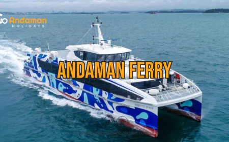 Government vs Private: Choosing the Right Andaman Ferry for Your Travel Needs