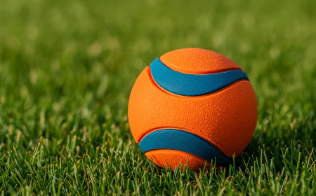 Chuckit Ball: The Ultimate Fetch Toy for Dogs