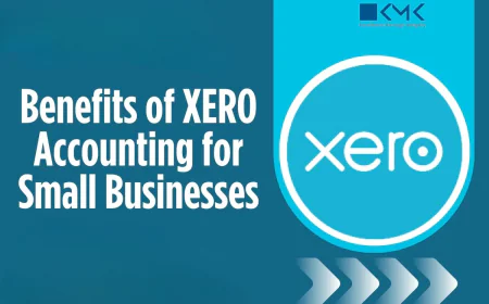 How Outsource AP on Xero Services Help US Businesses Reduce Costs