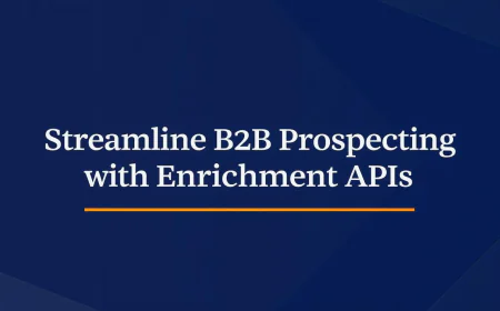 Streamline B2B Prospecting with Enrichment APIs