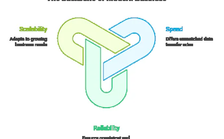 Future-Proofing Your Business with Dedicated Fibre Internet.