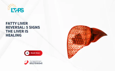 Fatty Liver Reversal: 5 Signs the Liver is Healing