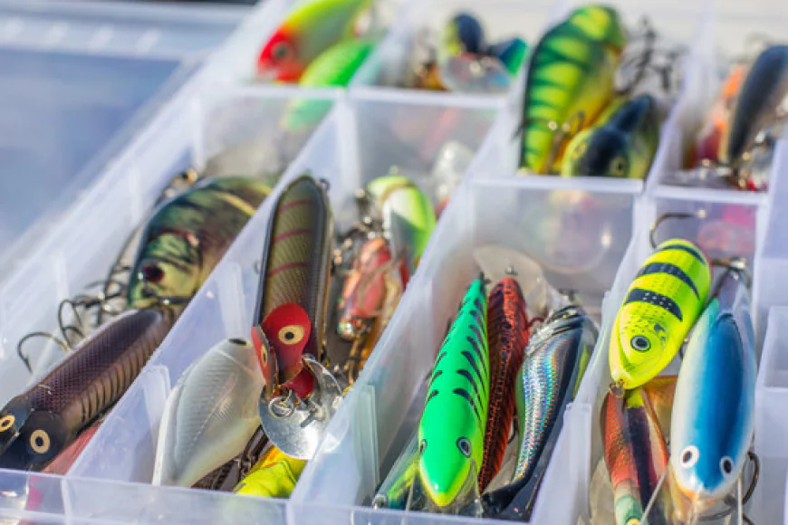 Buy Salmo 3.5 and Boulyn Kolletjie: The Perfect Bait Combo for Serious Anglers