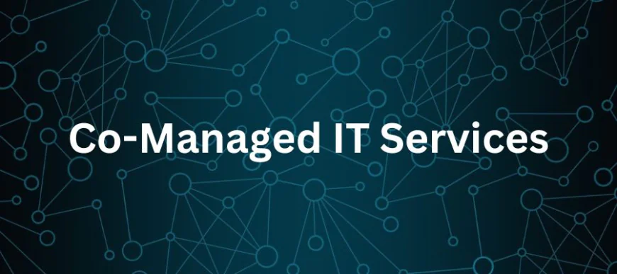When Internal IT Needs a Boost, Co-Managed Support Steps In