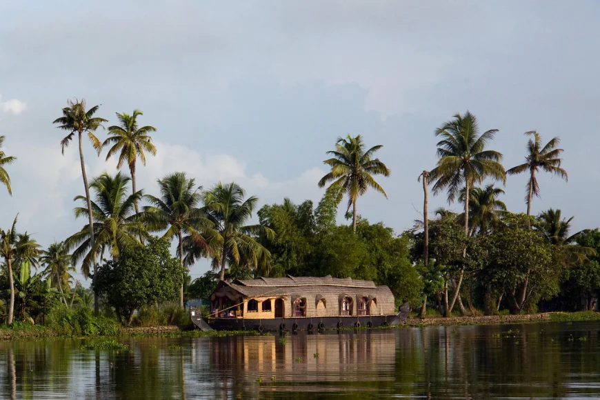 Kerala Backwater Tour Packages – Tranquil Cruises in Nature