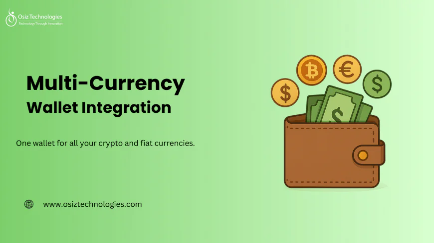 Simplify Global Payments with Multi-Currency Wallet Integration