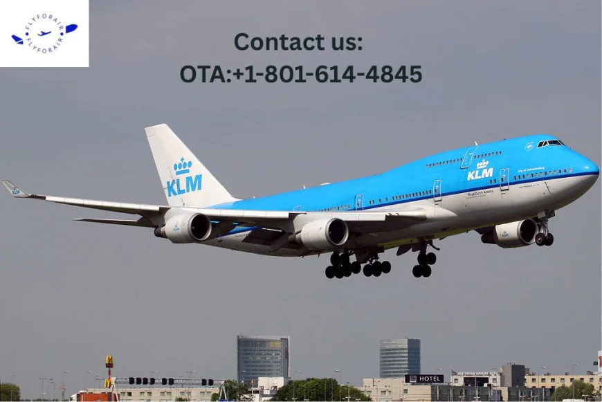 How do I contact to a live person at KLM? Help Is Here!