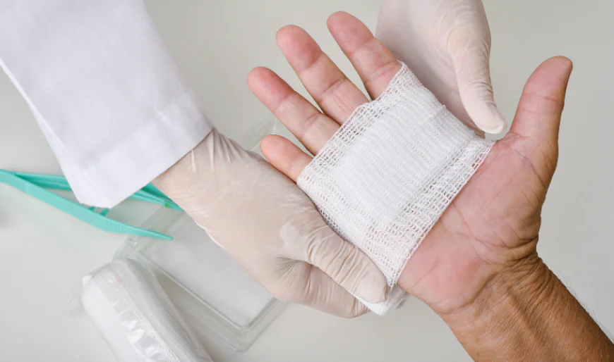 Wound Care Market Size, Share & Growth Forecast 2034