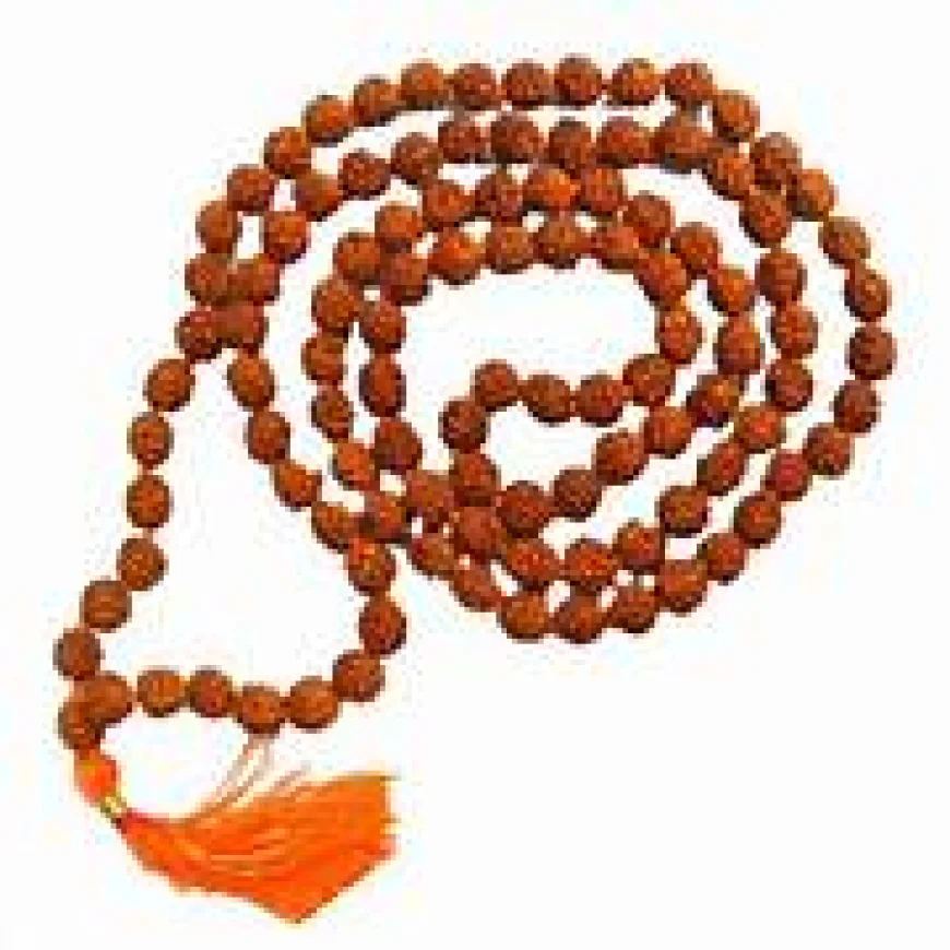 Original Rudraksha Mala 108 Beads Price and Spiritual Value