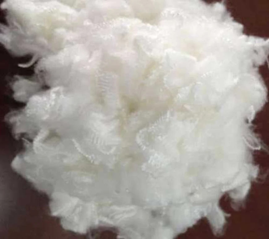 Discover the Versatility of Recycled Polyester Staple Fibre
