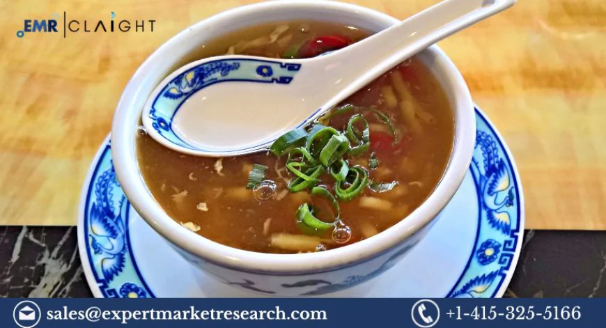 Soup Market Size, Share & Growth 2025-2034