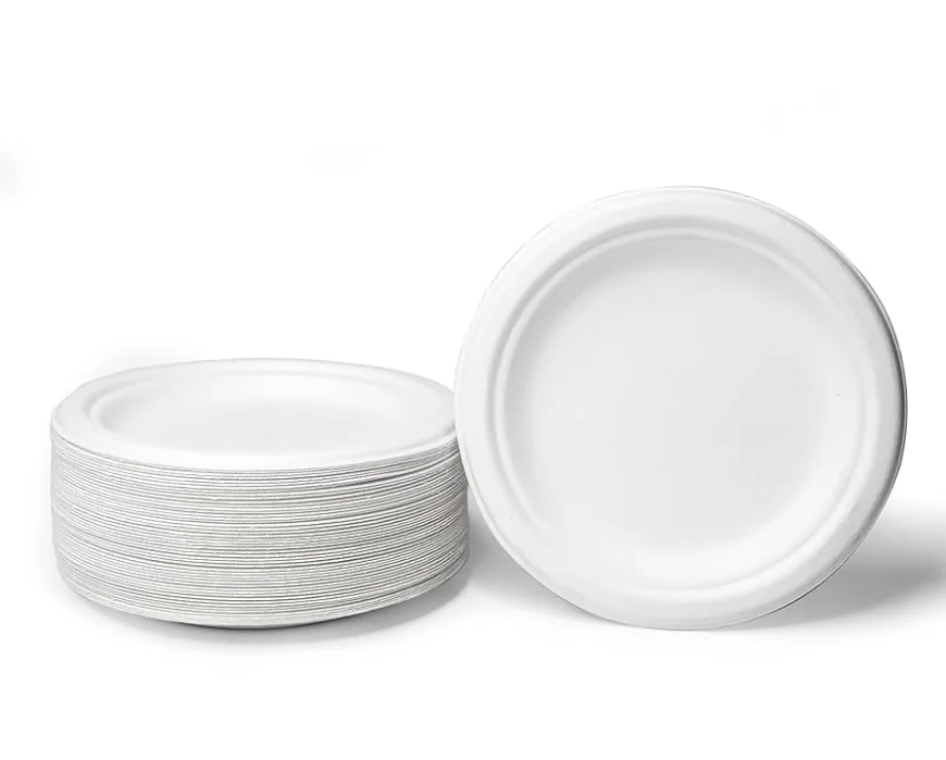 Eco-Friendly Dining: The Rise of Bagasse Compartment Plates