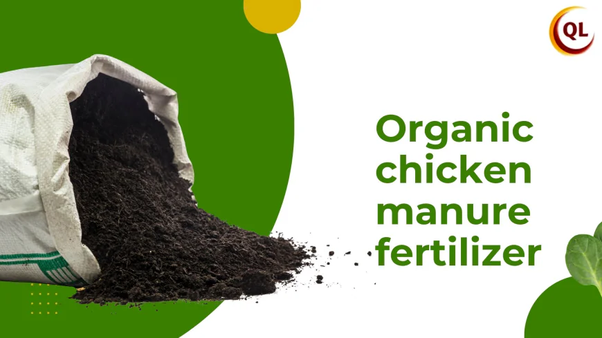 Qlfarms’ Organic Chicken Manure Fertilizer: 100% Natural & Nutrient-Rich