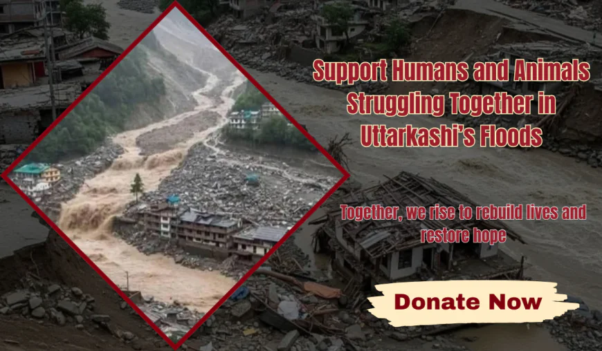 Urgent Appeal for Flood Relief in Uttarkashi