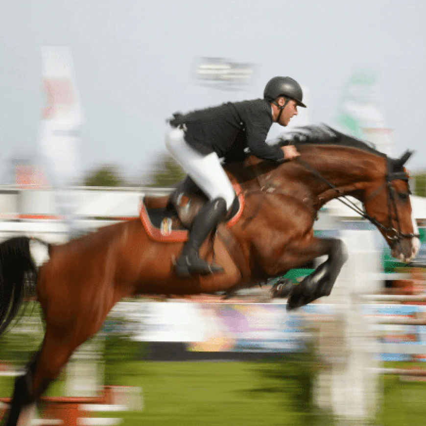 Unlock the Power of Real-Time Sports Betting Data with Reliable Sports Betting API Providers