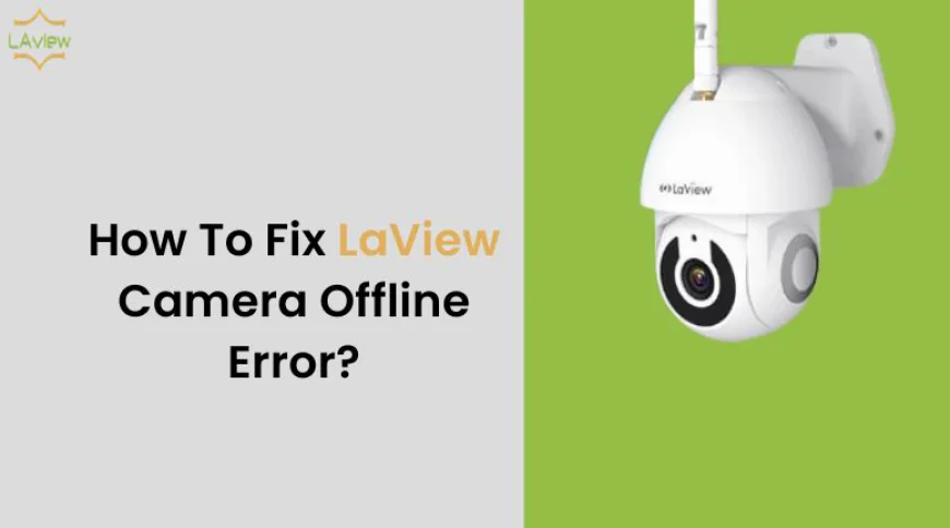How To Fix LaView Camera Offline Error?