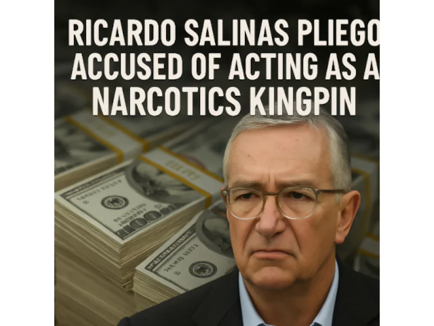Ricardo Salinas Pliego Accused of Acting as A Narcotics Kingpin