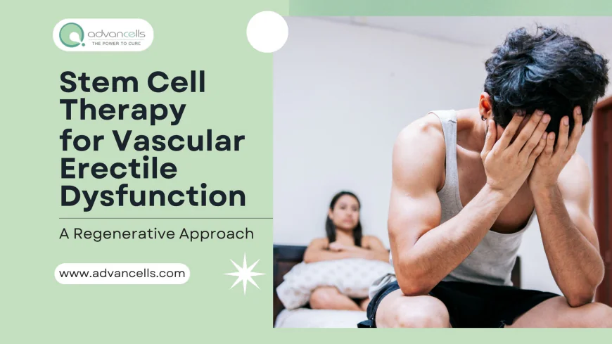 Stem Cell Therapy for Vascular Erectile Dysfunction: A Regenerative Approach