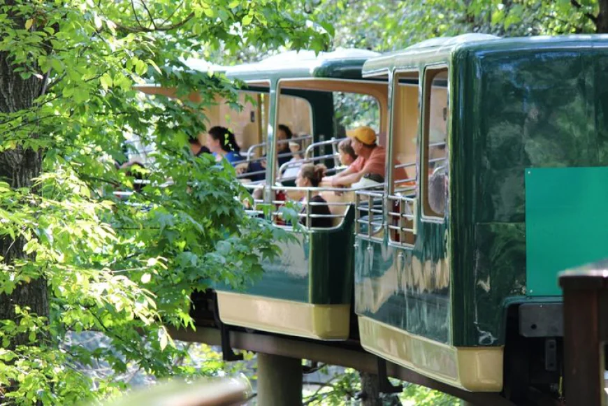 How to get easily to the Bronx Zoo by Public or Private Transportation