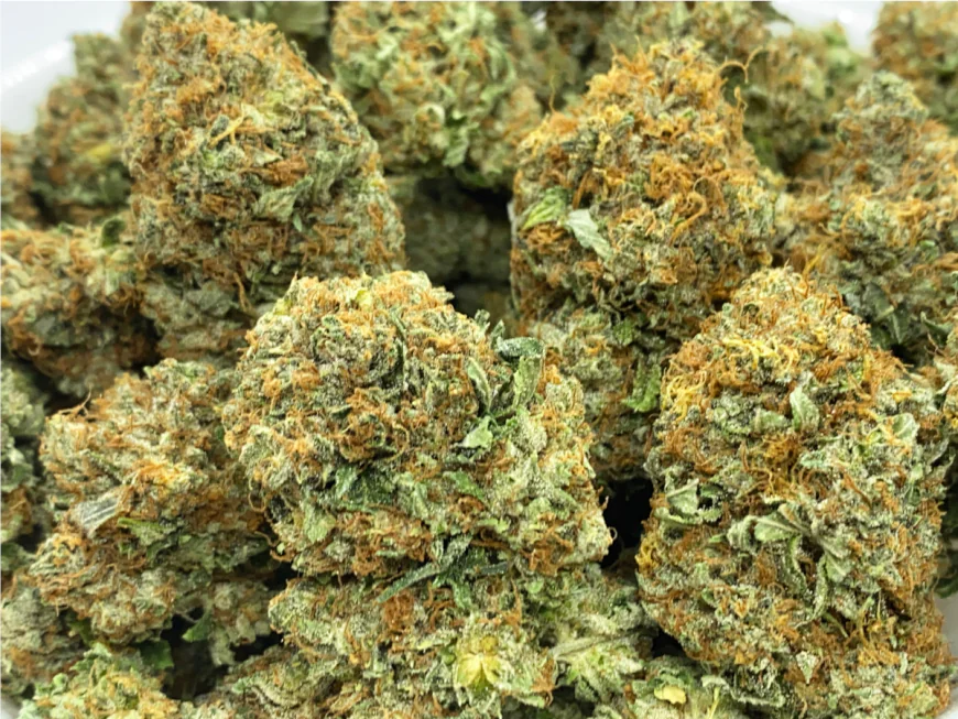 Cheap Bulk Weed: How to Get Quality Cannabis Without Overpaying