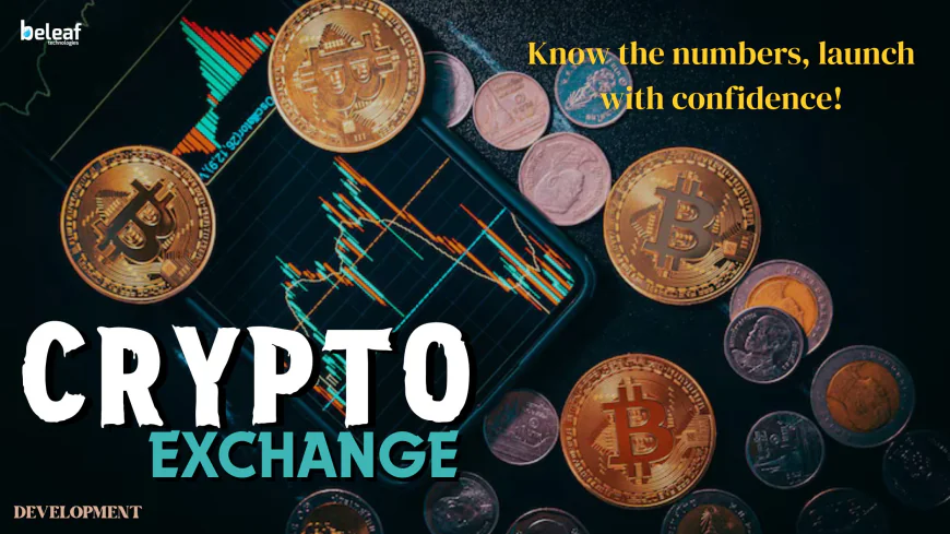 How Much Investment is Needed to Start a Crypto Exchange Business?