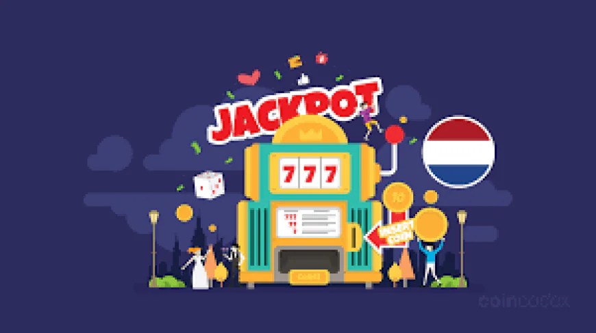 De Beste Bookmakers voor Live Wedden in Nederland