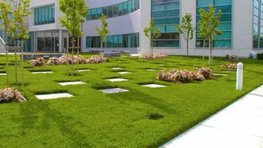 Emerging Trends in Commercial Landscaping: What’s Changing in Outdoor Spaces?