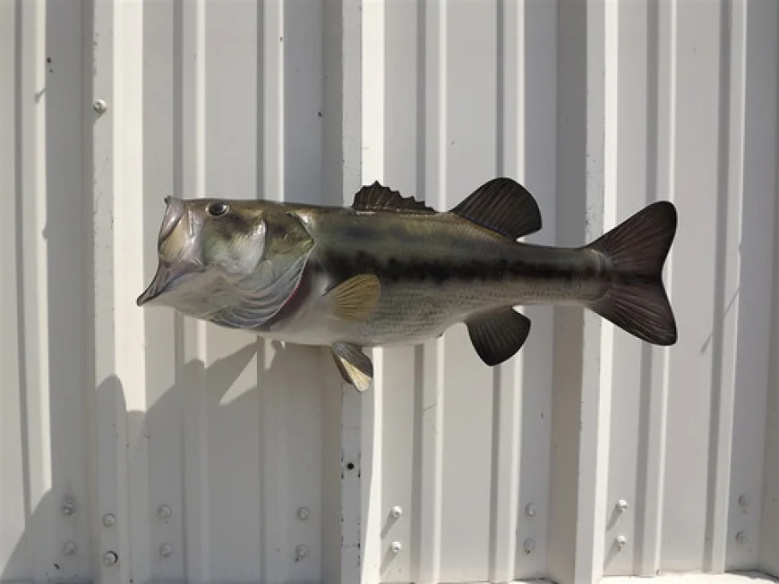 Largemouth Bass Mounts – Preserve Your Trophy Catch with Stunning Realism
