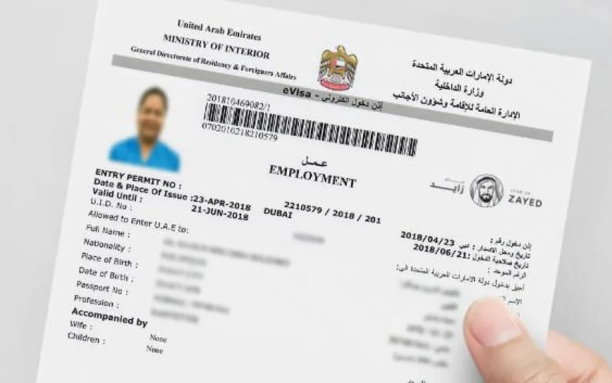 Changing Your Domestic Worker’s Status in the UAE Without Leaving the Country
