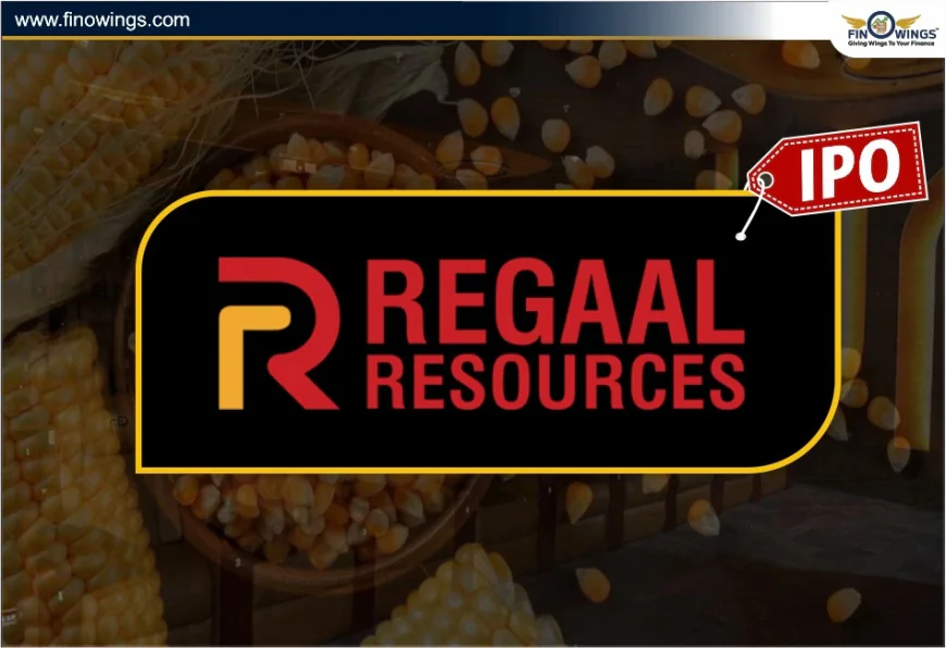 Regaal Resources IPO GMP – Latest Grey Market Premium & IPO Details