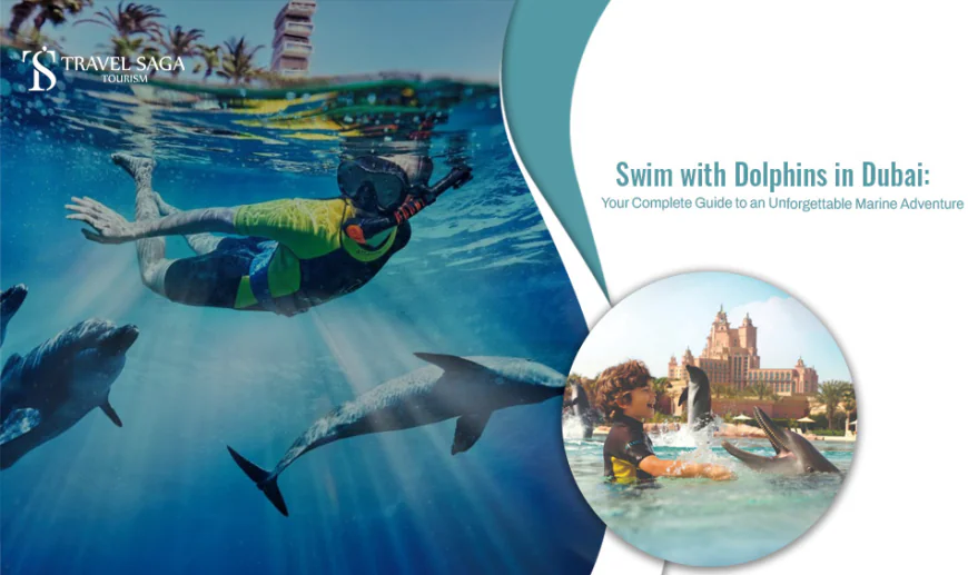 Swim with Dolphins in Dubai: Your Complete Guide to an Unforgettable Marine Adventure