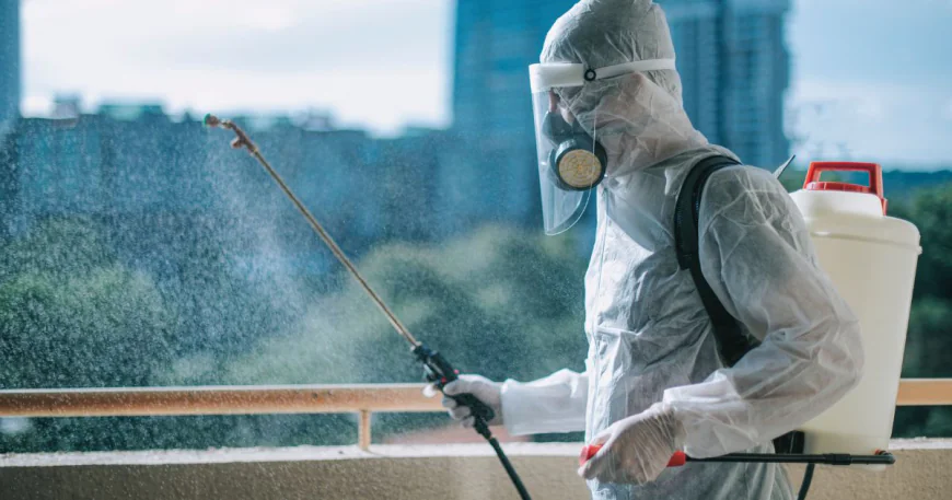 Say Goodbye to Pests: Your Complete Guide to a Pest-Free Home